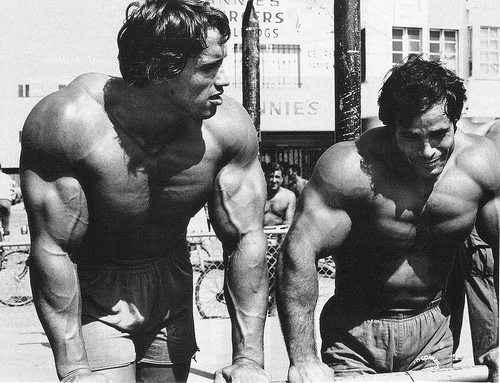 arnold schwarzenegger bodybuilding pictures. Legendary odybuilding